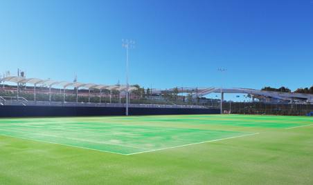 柳島スポーツ公園